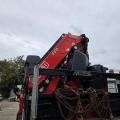 VOLVO FM 460 8X2 CHEESEWEDGE CRANE