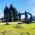 DAF XF 510 6X2 TRACTOR UNIT PM CRANE
