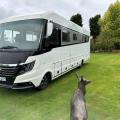 NIESMANN + BISCHOFF FLAIR 920EK MOTORHOME